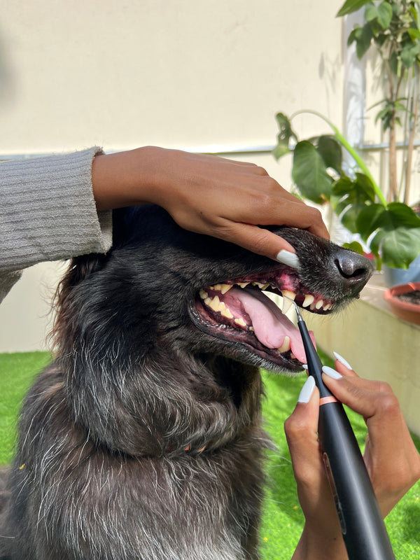 Über 13.753+ zufriedene Kunden