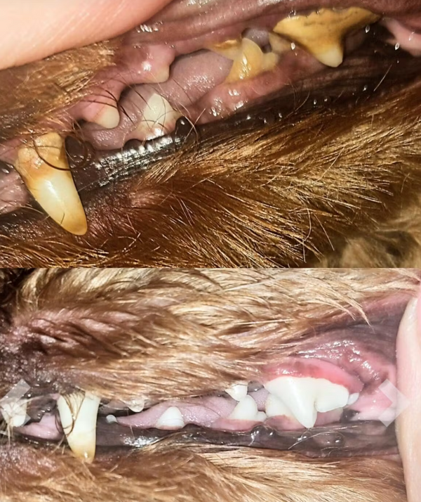 Über 13.753+ zufriedene Kunden