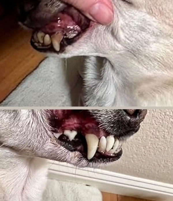 Über 13.753+ zufriedene Kunden