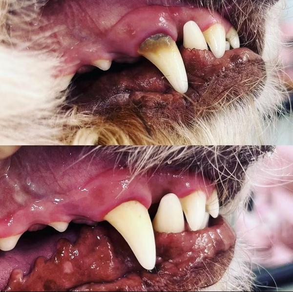 Über 13.753+ zufriedene Kunden