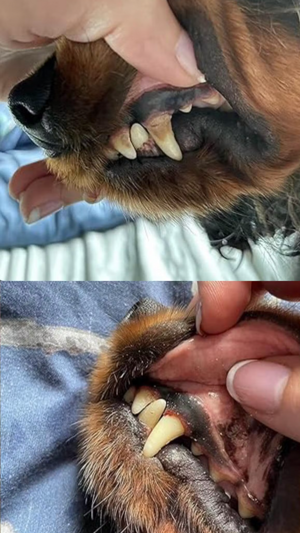 Über 13.753+ zufriedene Kunden