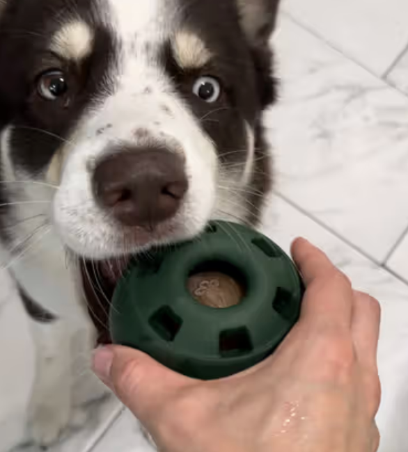 Geliebt von über 17.000+ Fellnasen