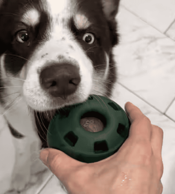 Geliebt von über 17.000+ Fellnasen